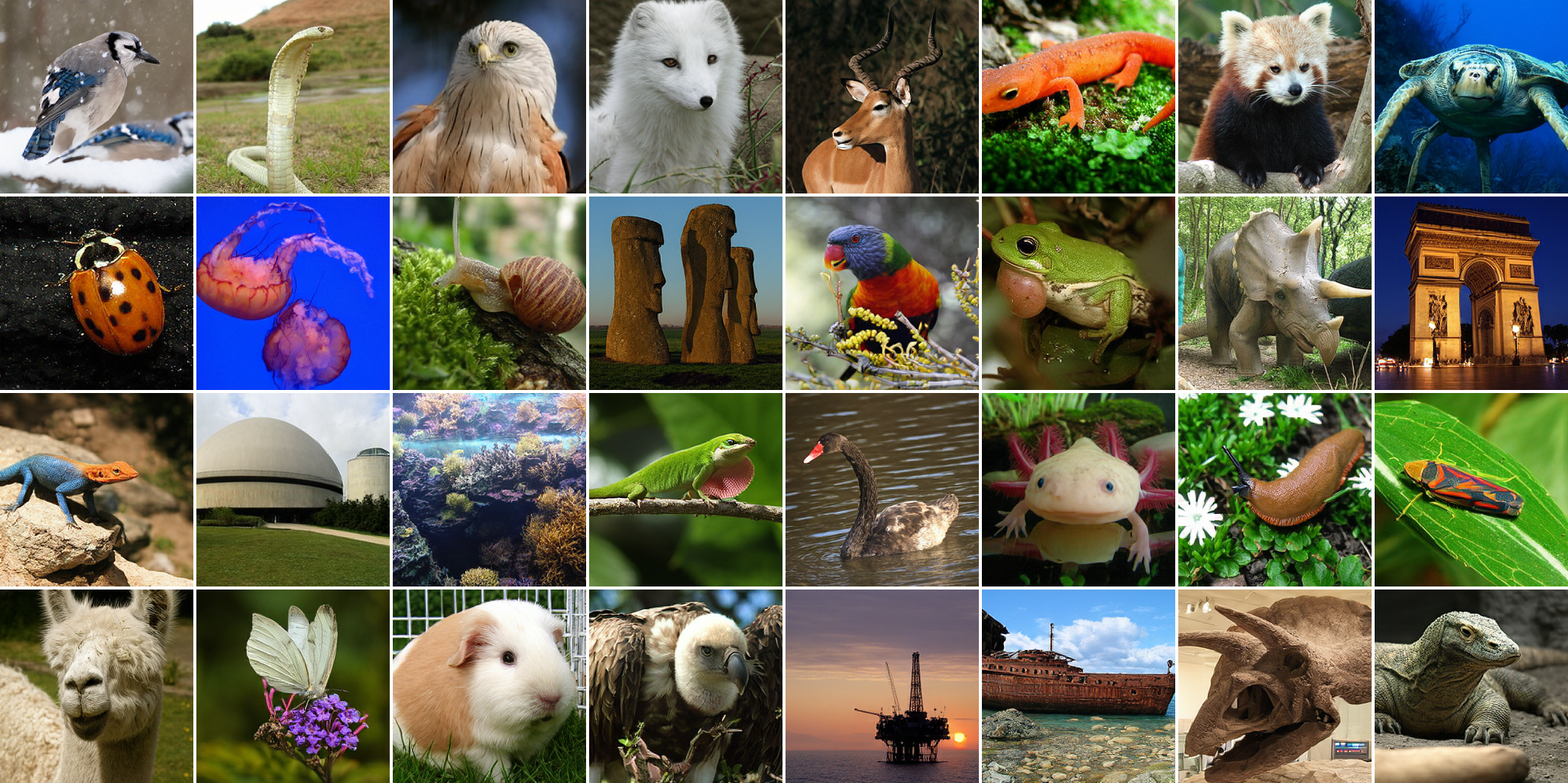 ImageNet generated samples from Sphere Latent Encoder